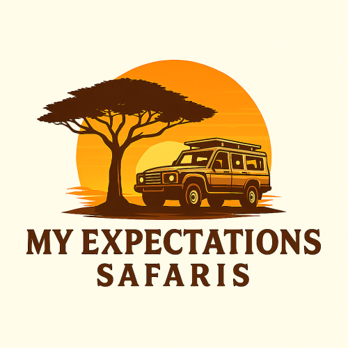 My expectataion Safari