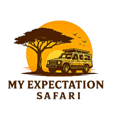 Myexpectation Safaris