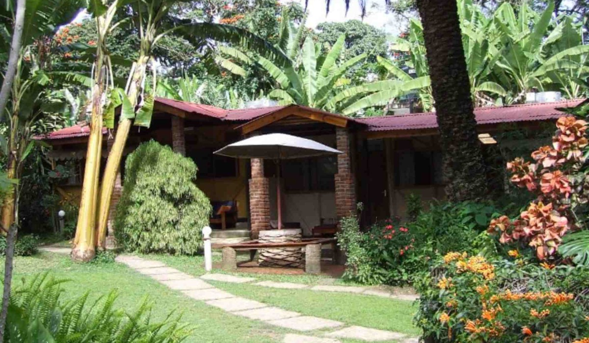 Why Choose Myexpectation Safaris?
