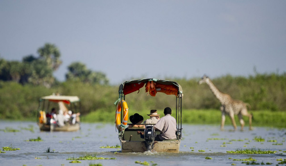 About Myexpectation Safaris