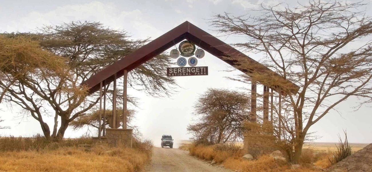 Every safari is custom-built to fit your dream